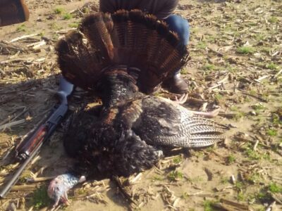 Tennessee Guided Turkey Hunts | David Blakley's Guide Service